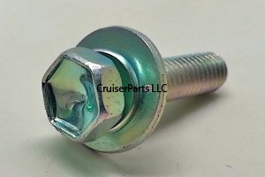 Bolt With Washer