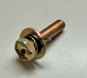 Bolt With Washer