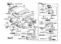 Hood and Front Fender