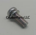 Screw With Washer