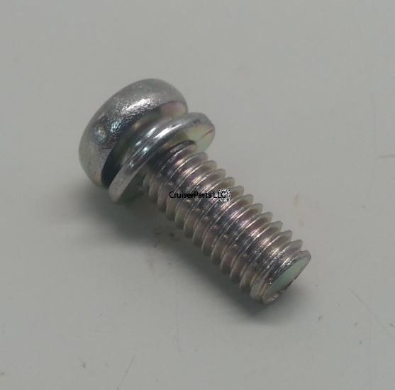 Screw With Washer
