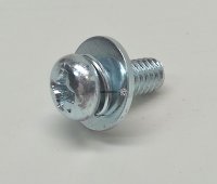 Screw With Washer