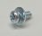 Screw With Washer