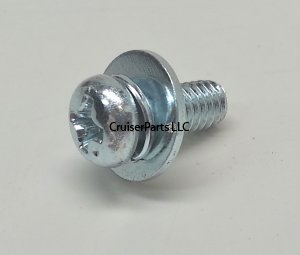 Screw With Washer