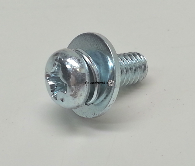 Screw With Washer