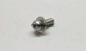 Screw With Washer
