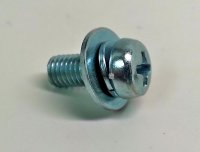 Screw With Washer