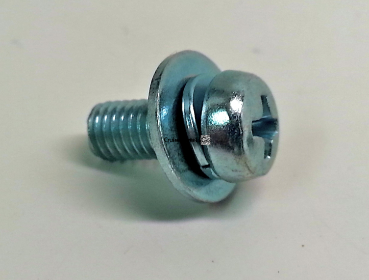 Screw With Washer