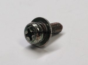 Screw W Washer