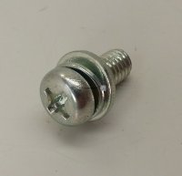 Screw With Washer