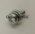 Screw With Washer