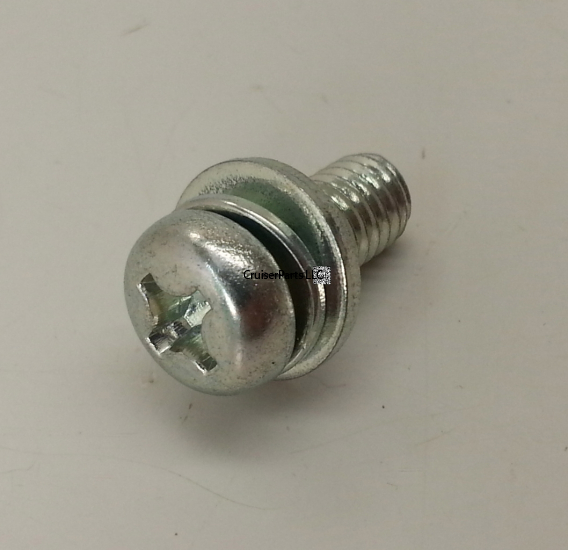 Screw With Washer