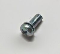 Screw With Washer