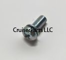 Screw With Washer