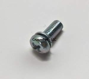 Screw With Washer