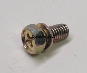 Screw With Washer