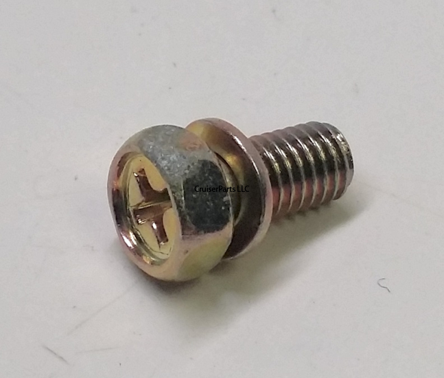 Screw With Washer