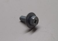 Screw With Washer