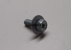 Screw With Washer