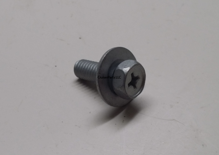 Screw With Washer