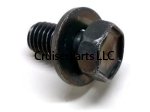 Bolt W/Washer
