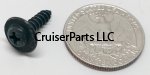Pan Tapping Screw