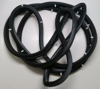 Right Rear Door Weatherstrip Seal