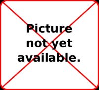 Intake Valve for 2H Engines