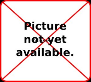 Intake Valve (Narrow Groove) for H Engines