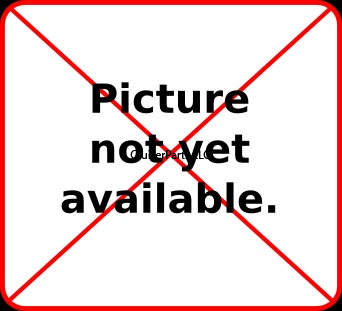 Intake Valve (Narrow Groove) for H Engines