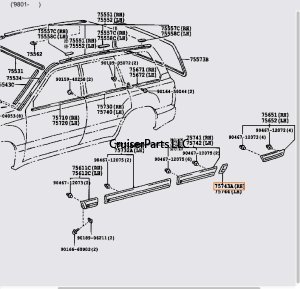 Body Side Molding Behind Rear Right Door 98-07